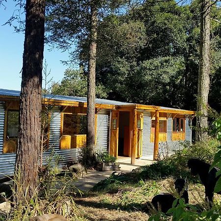 Evergreen Cabin Karkloof Villa Karkloof Nature Reserve Bagian luar foto