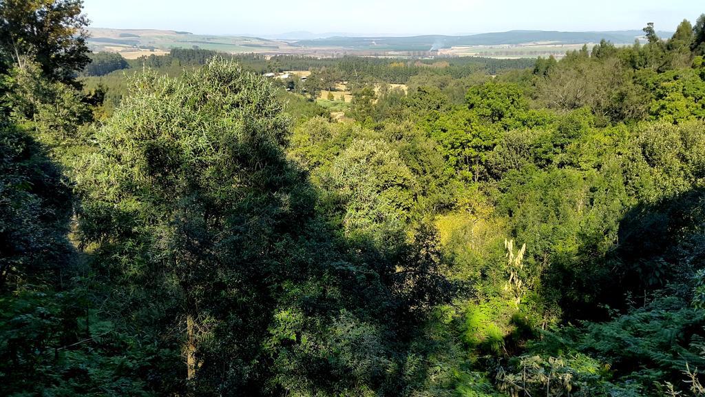 Evergreen Cabin Karkloof Villa Karkloof Nature Reserve Bagian luar foto