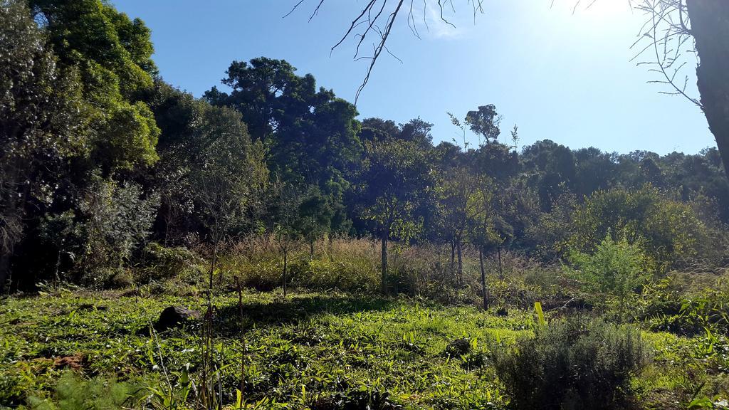 Evergreen Cabin Karkloof Villa Karkloof Nature Reserve Bagian luar foto